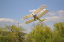 Bristol Scout