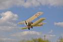Bristol Scout