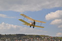 Bristol Scout