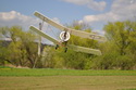 Bristol Scout