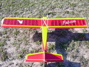 Falcon