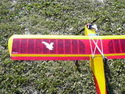 Falcon