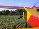 Falcon