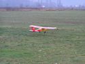 Falcon