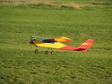 Falcon