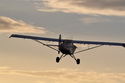 Christen Husky A-1