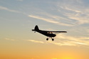 Christen Husky A-1