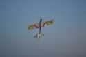 Sniper X II