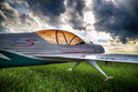 Sukhoi 29S 50E