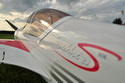 Sukhoi 29S 50E