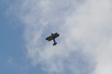 Leteck� den - Airshow Chot�bo� 25.6. 2011