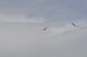 D�tsk� den Chot�bo� 22.5. 2010