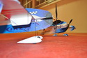 Hala 2010
