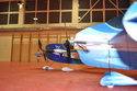 Hala 2010