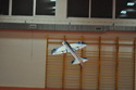 Hala 2010