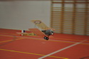 Hala 2010