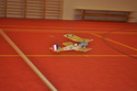 Hala 2010