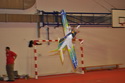 Hala 2010