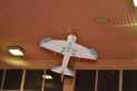 Hala 2010