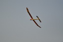 Historick� modely 16.4. 2011