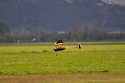 Historick� modely 16.4. 2011