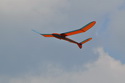Historick� modely 11.6. 2011
