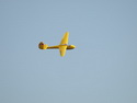 Lipeneck� Obr 6.-7.9. 2008