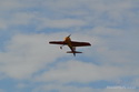 Lipeneck� Obr 2010