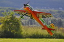 Lipeneck� Obr 2010