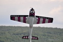 Lipeneck� Obr 2010