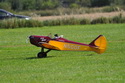 Lipeneck� Obr 2010