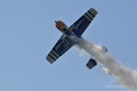 Lipeneck� Obr 2010