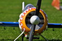 Lipeneck� Obr 2010