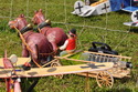 Lipeneck� Obr 2010