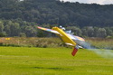 Lipeneck� Obr 2010