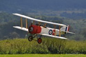 Lipeneck� Obr 2010