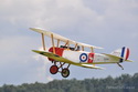 Lipeneck� Obr 2010