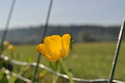 Slet r�diem ��zen�ch model� 5.5. 2012